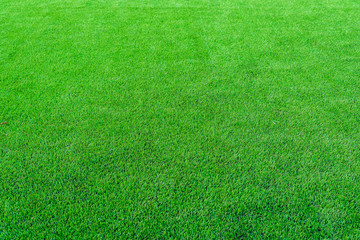 Green grass texture background in soccer field. Selective focus