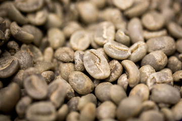 green coffee beans