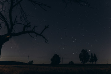 dark night sky full of stars. beautiful amazing night  starry space and trees in countryside....