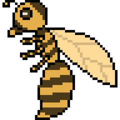 Fototapeta premium vector pixel art hornet