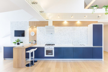 modern interior  large apartment