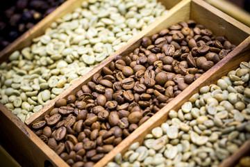 coffee beans showing various stages of roasting from raw through to Italian roast