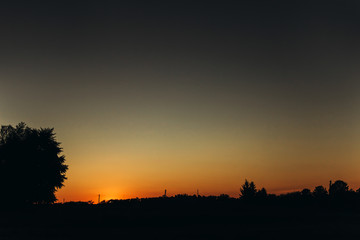 sunset in summer field. atmospheric moment. earth day. save environment. trees and sky in meadow in countryside in evening light.