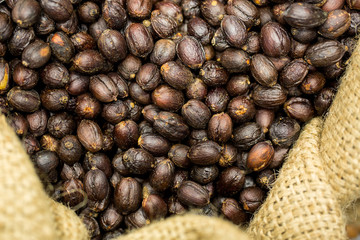 dried berries coffee beans