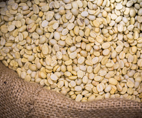 green coffee beans