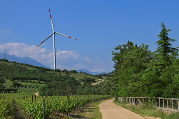 Pala eolica e vigneti sul lago di Garda
