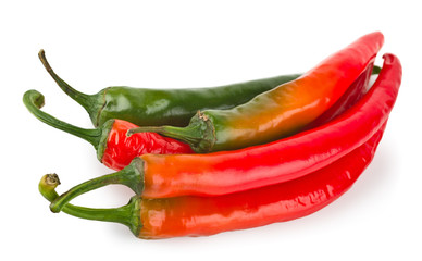 Hot red chilli pepper