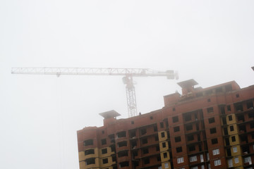 the crane in the fog