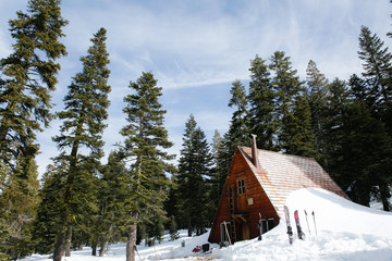 Alpine cabin in the woods in the California mountains