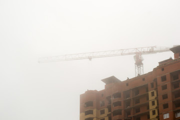 Fototapeta na wymiar the crane in the fog