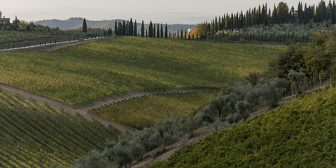 Obraz premium Tuscany