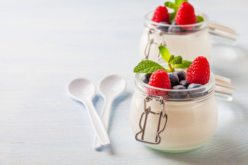 Yoghurt with raspberry, blueberry and mint in glassware on a blue background