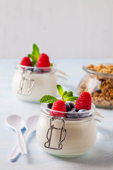 Yoghurt with muesli, raspberry, blueberry and mint in glassware on a blue background