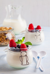 Yoghurt with muesli, raspberry, blueberry and mint in glassware on a blue background