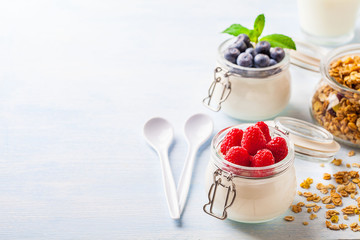 Yoghurt with muesli, raspberry, blueberry and mint in glassware on a blue background