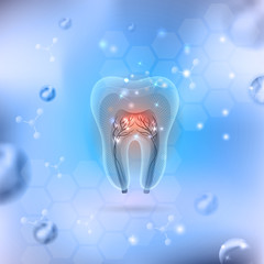 Beautiful transparent tooth cross section on an abstract background