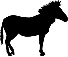 Silhouette of a standing zebra, side view - digitally hand drawn vector illustration