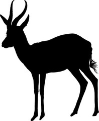 Silhouette of a standing springbok antelope - digitally hand drawn vector illustration