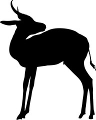 Silhouette of a standing springbok antelope - digitally hand drawn vector illustration