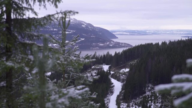 Pan view of a road along Mj&oslash;sa lake into forest, snowy day, Strandlykkja, Hedmark, Norway