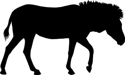 Silhouette of a hartmann mountain zebra, standing - digitally hand drawn vector illustration