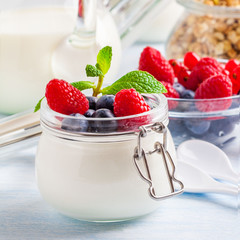 Yoghurt with muesli, raspberry, blueberry and mint in glassware on a blue background