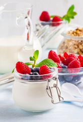Yoghurt with muesli, raspberry, blueberry and mint in glassware on a blue background