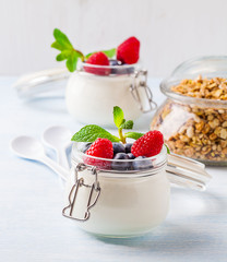 Yoghurt with muesli, raspberry, blueberry and mint in glassware on a blue background