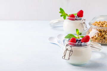 Yoghurt with muesli, raspberry, blueberry and mint in glassware on a blue background