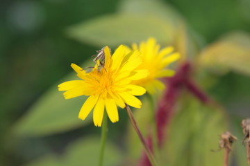 Frühling