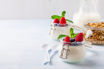 Yoghurt with muesli, raspberry, blueberry and mint in glassware on a blue background