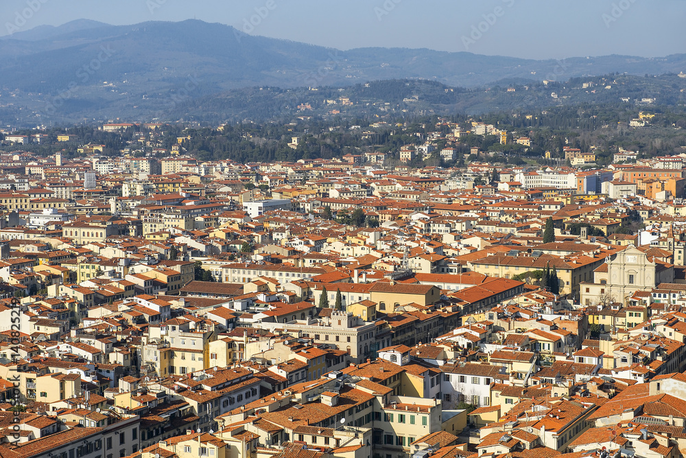 Wall mural florence from height