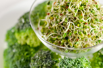 Food, healthy eating, Sprouts, broccoli sprouts.