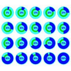 Pie graphs. Infographic charts with step of 5%. 5-100% pie graph set. Vector illustration