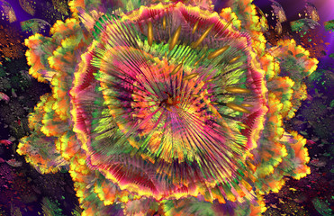 Magic glowing rainbow fractal flower