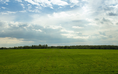 green meadow on background cloudy sky