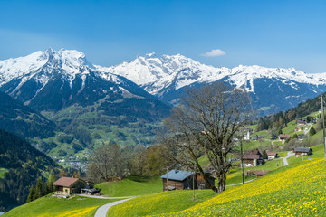 Frühling in den Alpen