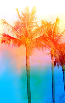 Retro photo of palm trees