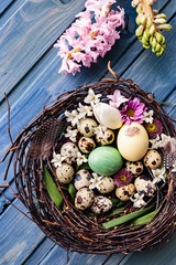 Fototapeta na wymiar Nest with easter eggs on a blue wooden background