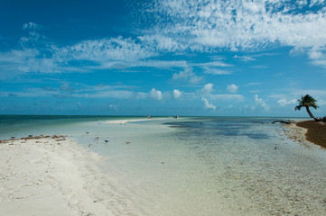 Obraz premium Sea and Sky