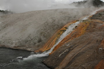 deer old faithful and waterfalls in Yellowstone