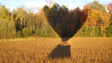 shadow of hot air balloon over field and trees