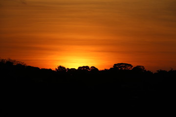 red sunset over rainforest