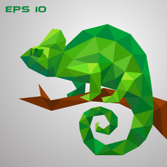 A green chameleon is sitting on a branch and looking. Thoughtful and lazy wild life. Low poly reptile on a white background. Vector illustration. © Eseninstudio