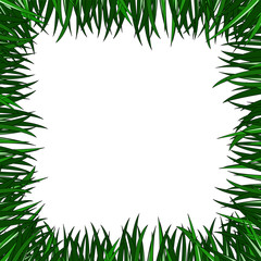 frame of grass