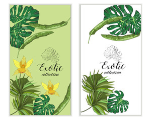 Vertical vectror banners with hand drawn tropical flowers and leaves. Package design.