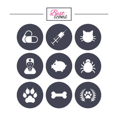 Veterinary, pets icons. Paw, syringe and bone.