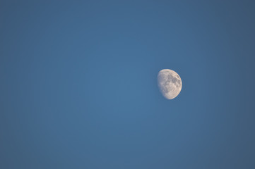 Waxing Gibus moon in a daytime sky