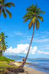 young girl relax on the high palm tree. Tropical landscape, caribbean view