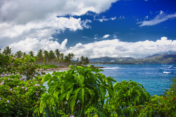 Fototapeta na wymiar Amazing Caribbean landscape. Green plants on a background of turquoise sea and sky